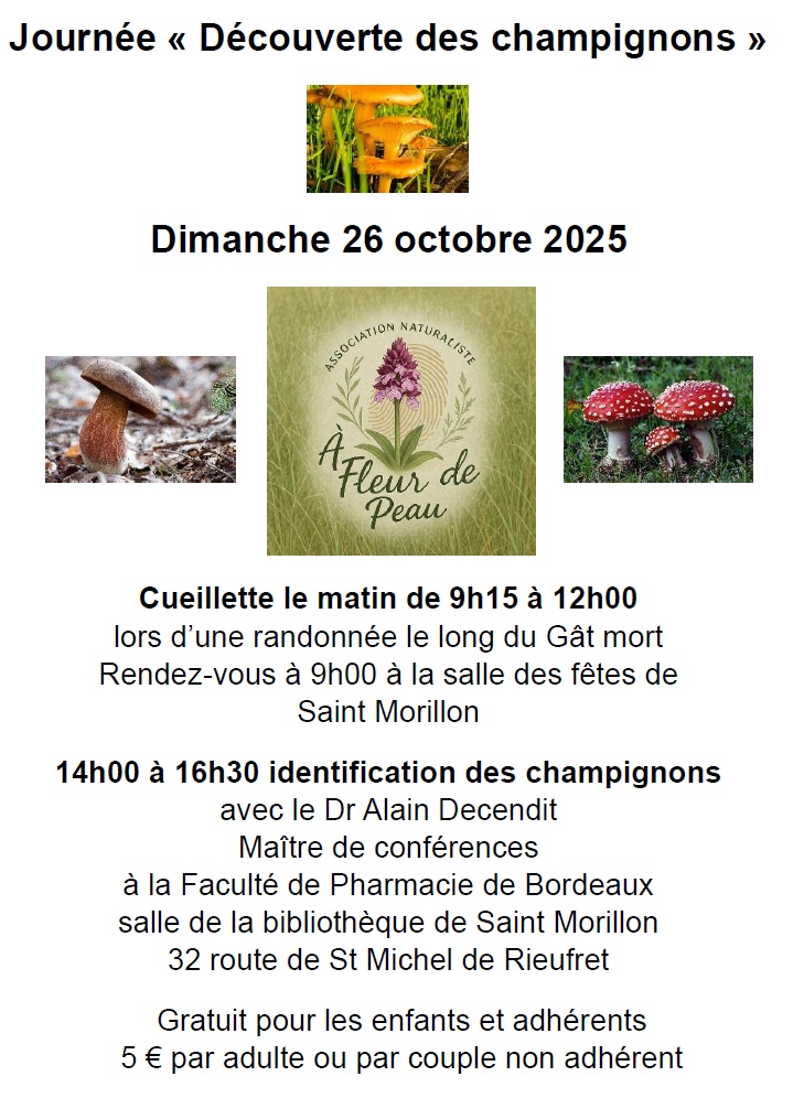 Journée champignons AFDP 2025