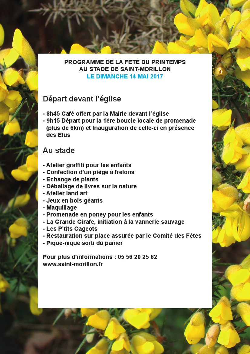 2Affiche la fete du printemps 2017