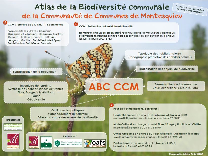 carte identit
